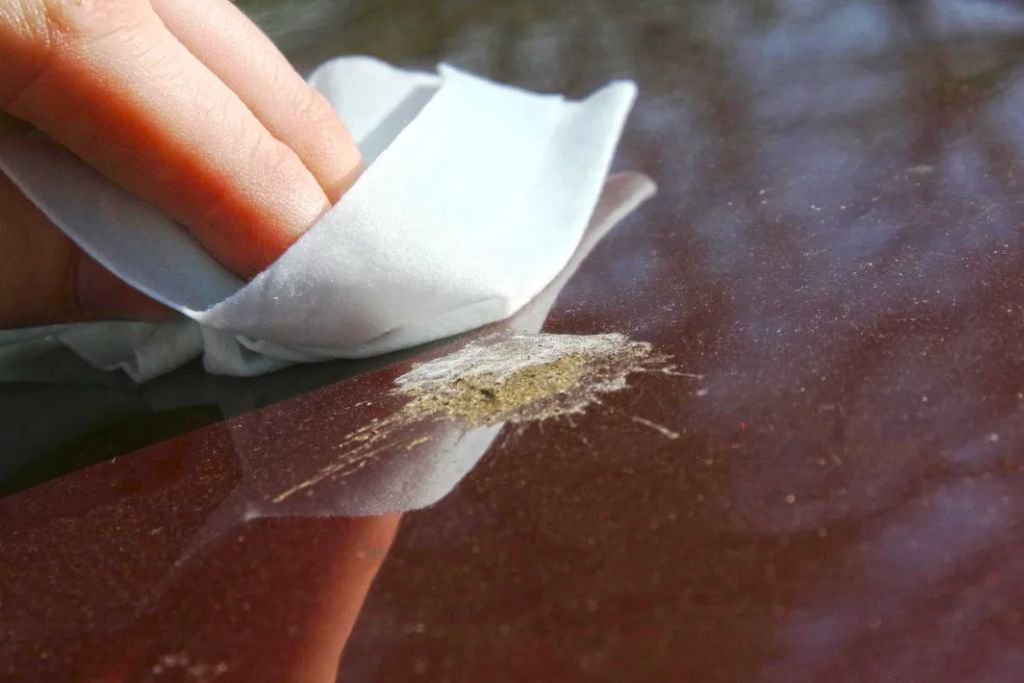 Close-up of a hand using a soft white cloth to clean dried bird droppings from a maroon car surface. This highlights the importance of gentle, immediate bird dropping removal to protect paint or PPF, especially in Birmingham’s heat.