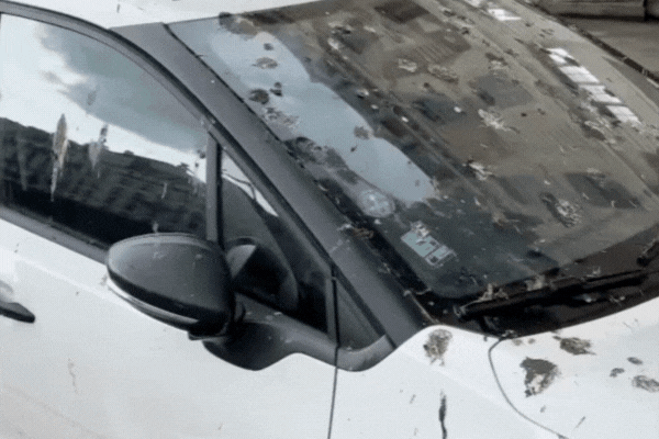 White car parked in an urban area covered in numerous bird droppings across the windshield, hood, and roof. The heavy staining highlights how acidic bird waste can damage paint, reinforcing the need for protection like PPF in sunny climates like Birmingham.
