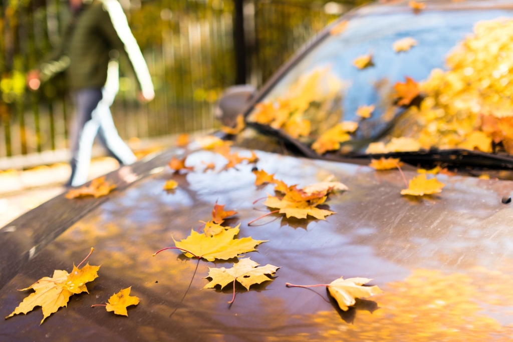 Close-up of a car hood covered in bright yellow and orange fall leaves, with a blurred pedestrian in the background. The image illustrates how leaf debris in Birmingham’s fall climate can leave behind acidic residue and fine grit that threaten unprotected paint.